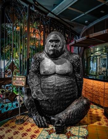 Budget-Friendly Sunday Ladies’ Night Ideas