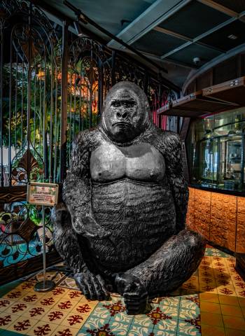 Budget-Friendly Sunday Ladies’ Night Ideas